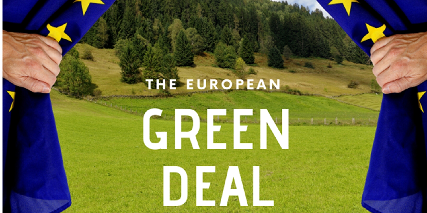 Green Deal needs forest bioeconomy | European Forest Institute